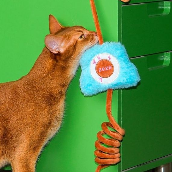 https://fulmo-img-server.com/party-cat/1750650729277_qvrbhh3h_4n91pklq.jpeg