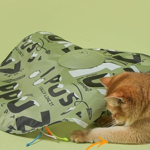 https://fulmo-img-server.com/party-cat/1750651869123_x65r7fl8_vk0nwdzo.jpeg