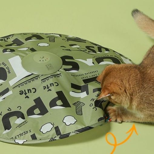 https://fulmo-img-server.com/party-cat/1750651878079_bvl8kkcw_9zxy7ze3.jpeg