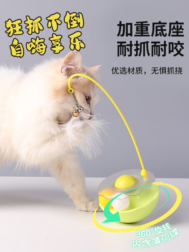 https://fulmo-img-server.com/party-cat/1750651902540_nbtyex86_y9mef0fo.jpeg