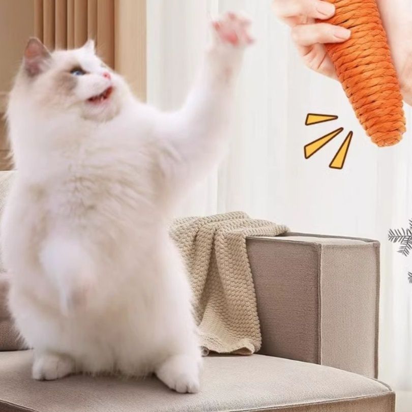 https://fulmo-img-server.com/party-cat/1750654435928_z72z74bg_0aatku5r.jpeg