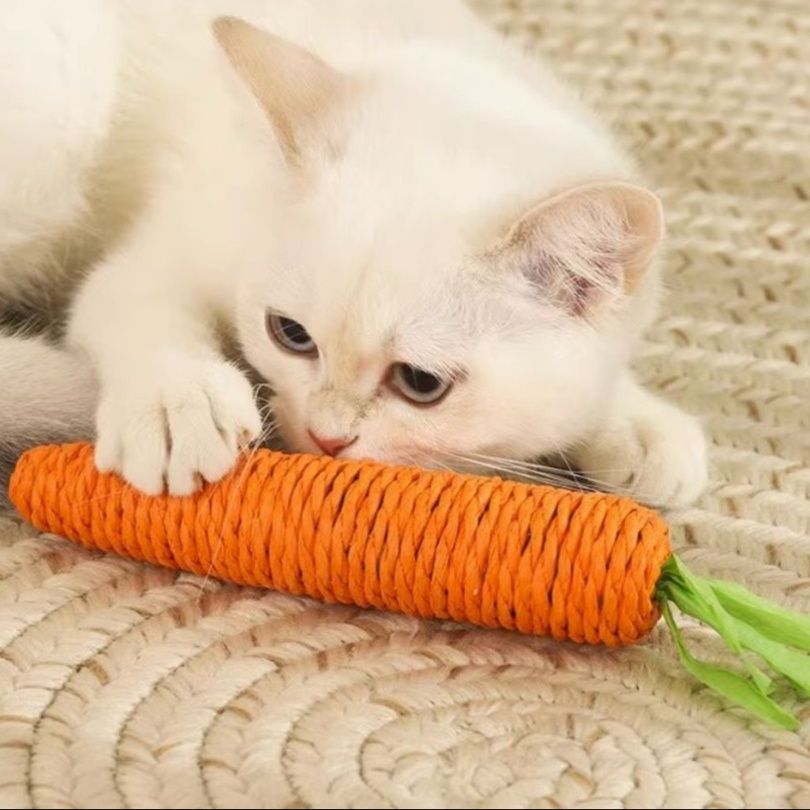 https://fulmo-img-server.com/party-cat/1750654447228_kh9lkf89_19lvly9s.jpeg