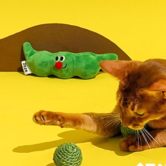 https://fulmo-img-server.com/party-cat/1750658288832_b5sv7p5s_6bw3kkwe.jpeg