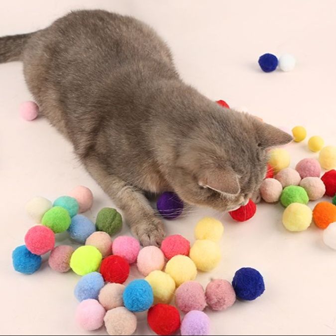 https://fulmo-img-server.com/party-cat/1750658720419_l3xeofem_vwrcq4cq.jpeg
