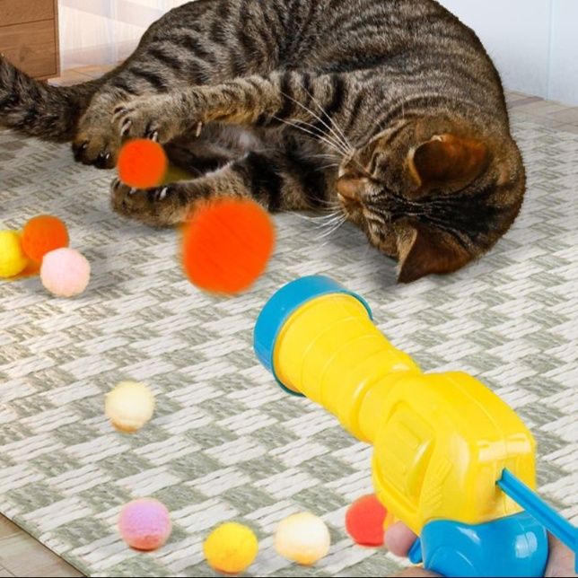 https://fulmo-img-server.com/party-cat/1750658757037_axi6tt9u_3iplj15k.jpeg