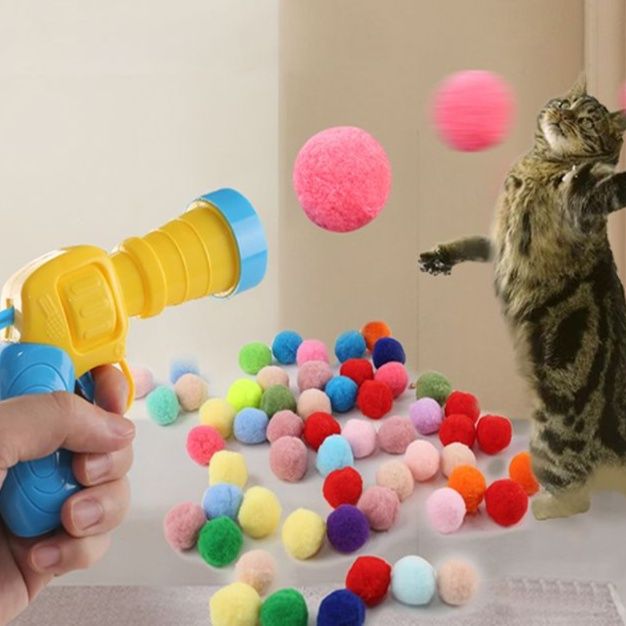 https://fulmo-img-server.com/party-cat/1750658769538_tngeuk06_qdsrddiw.jpeg
