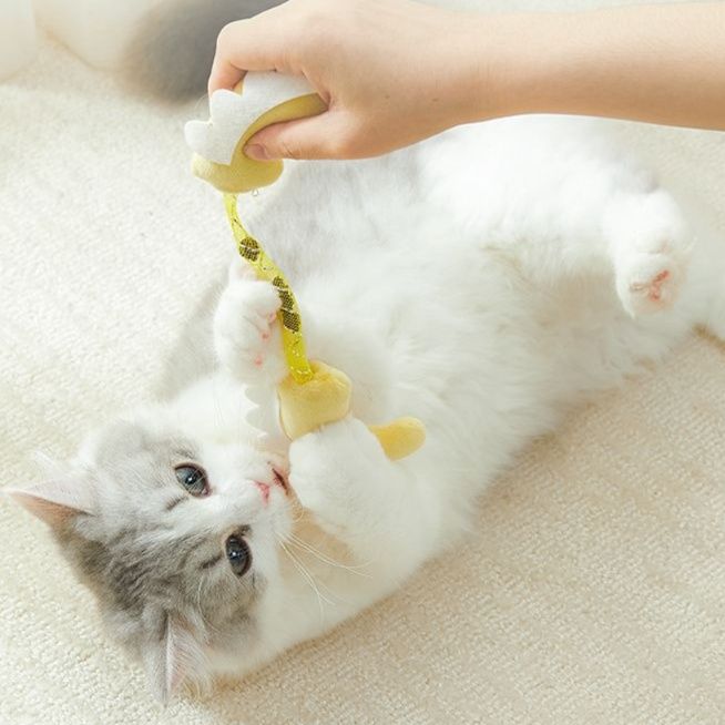 https://fulmo-img-server.com/party-cat/1750658842852_66klxjag_ry638qh4.jpeg