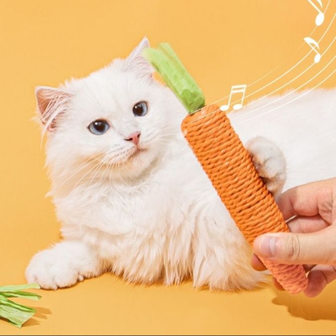 https://fulmo-img-server.com/party-cat/1750659031771_a721issn_7yuwpsab.jpeg