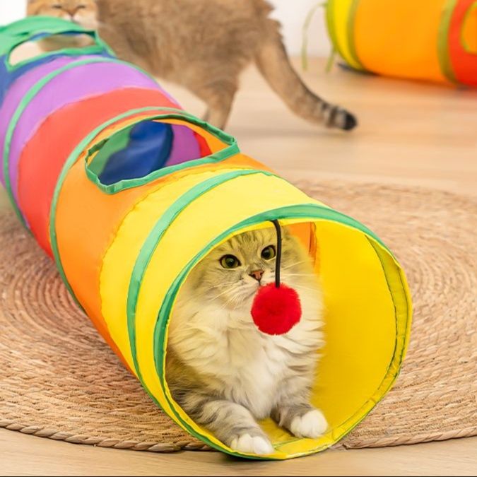 https://fulmo-img-server.com/party-cat/1750659151845_lgru3i7i_e6i1jjgo.jpeg