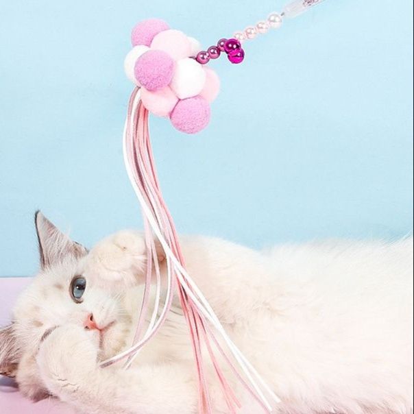 https://fulmo-img-server.com/party-cat/1750659391656_ur3tr9qb_ss4qy7c8.jpeg