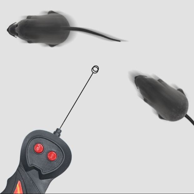 https://fulmo-img-server.com/party-cat/1750659443684_gnpqu8ei_i9bxzymr.jpeg