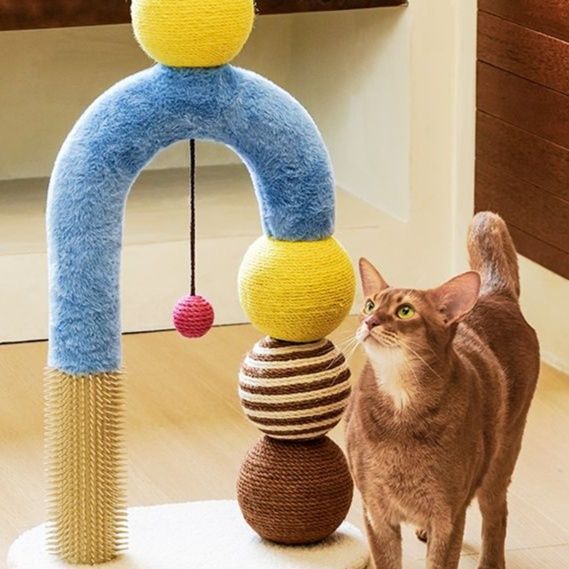 https://fulmo-img-server.com/party-cat/1750659550796_a6qol1mp_6qz9jk6l.jpeg