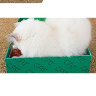 猫 おもちゃ ハンティングボックス 知育型猫じゃらし