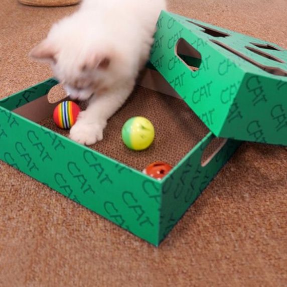 猫 おもちゃ ハンティングボックス 知育型猫じゃらし