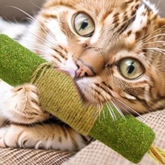 https://fulmo-img-server.com/party-cat/1750660509626_6v65ff1q_ck8cdion.jpeg