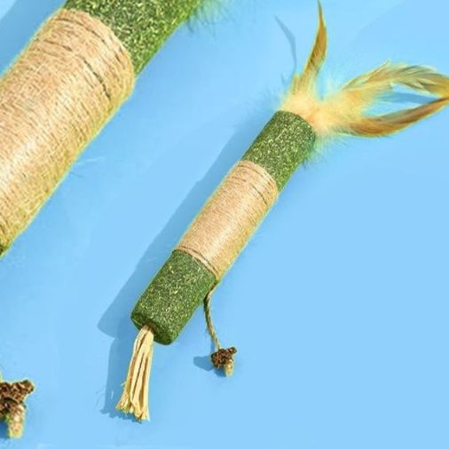 https://fulmo-img-server.com/party-cat/1750660536105_5sdvmlhw_0mvarxf1.jpeg