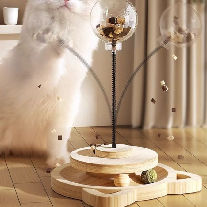 https://fulmo-img-server.com/party-cat/1750661182906_64vu8twk_woqwal3b.jpeg