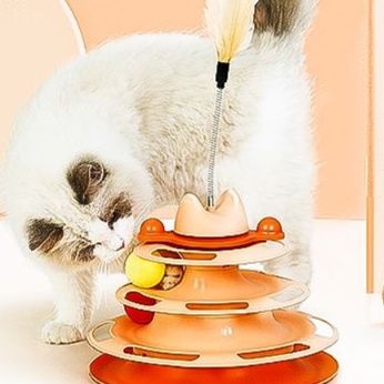https://fulmo-img-server.com/party-cat/1750661252653_uwuav4wf_lapkb1ag.jpeg