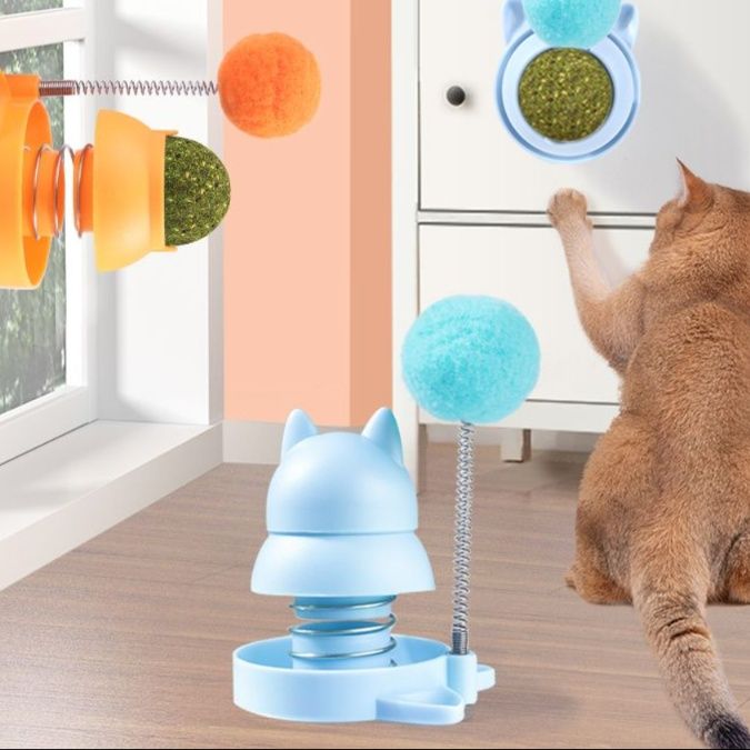 https://fulmo-img-server.com/party-cat/1750661351852_bzuluogc_fkekaclb.jpeg
