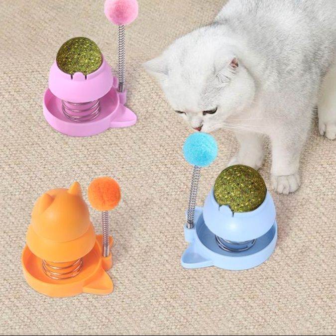 https://fulmo-img-server.com/party-cat/1750661362488_afvjg0b8_k76s2kqn.jpeg