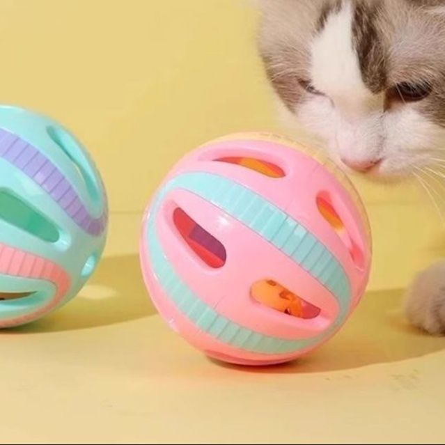 https://fulmo-img-server.com/party-cat/1750679360114_r8ygkb1g_rccyq4b0.jpeg