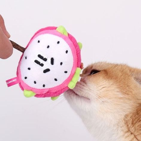 https://fulmo-img-server.com/party-cat/1750679888357_r3dyehkc_4z0dvibi.jpeg
