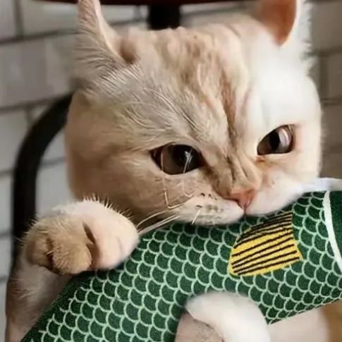 猫 おもちゃ にゃんこ大好き 魚型薄荷おもちゃ