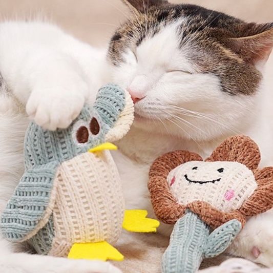 https://fulmo-img-server.com/party-cat/1750729901873_zz6axc6x_6i45z5ao.jpeg