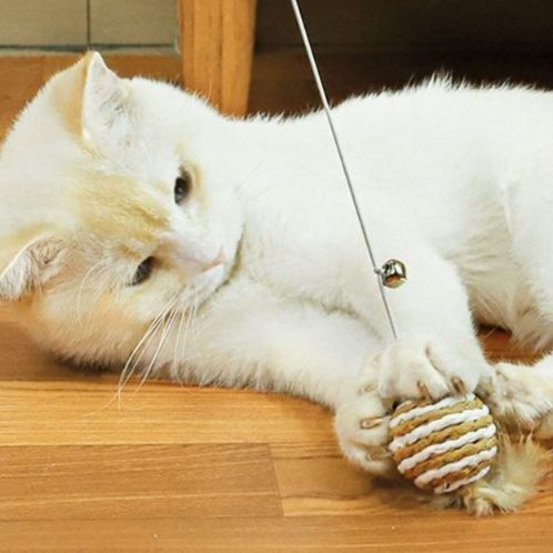 猫 おもちゃ 天然木製 ねこじゃらし コレクション