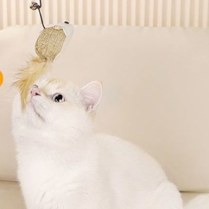 猫 おもちゃ 天然木製 ねこじゃらし コレクション