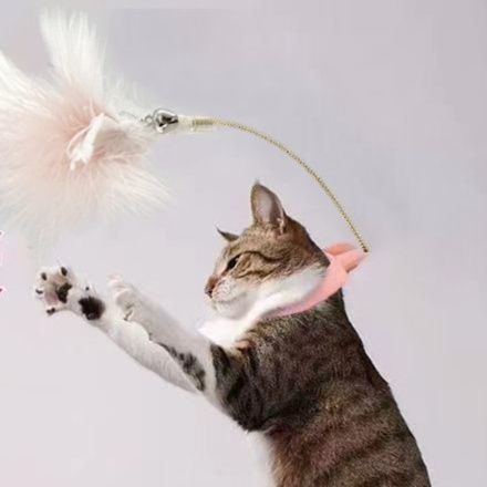https://fulmo-img-server.com/party-cat/1750733953643_7tcqd50g_r2tf4zfg.jpeg