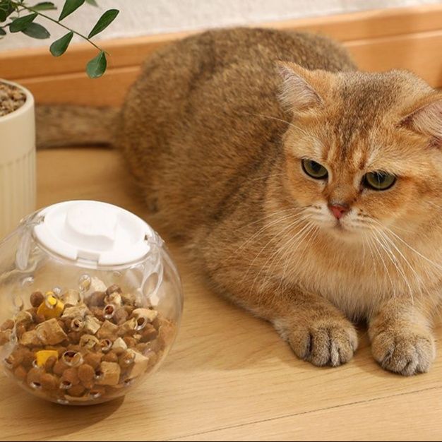 猫 おもちゃ 転がるおやつボール 知恵の輪
