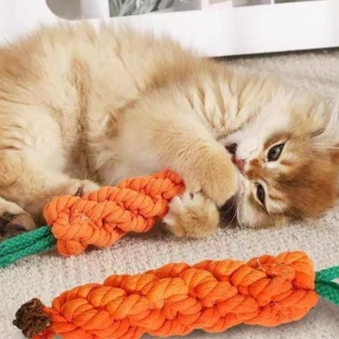 猫 おもちゃ 歯磨きニンジンロープ