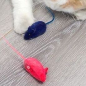 猫 おもちゃ やわらか素材の愛らしいネズミおもちゃ