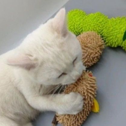 猫 おもちゃ もこもこネズミの歯みがきトイ