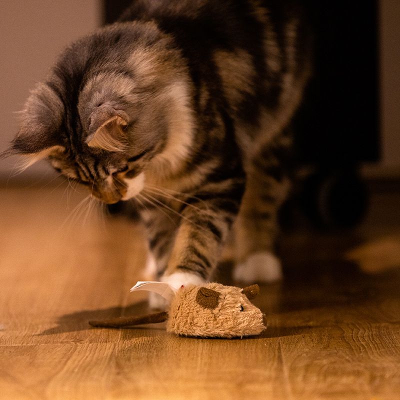 猫 おもちゃ 愛猫ネズミハンター ぬいぐるみセット