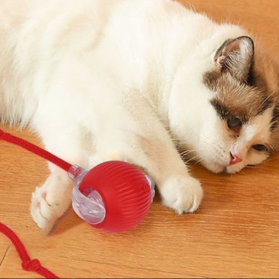 猫 おもちゃ 自動回転式もぐもぐ知育玩具