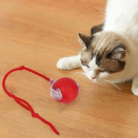 猫 おもちゃ 自動回転式もぐもぐ知育玩具