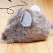 https://fulmo-img-server.com/party-cat/1750839342702_iswdtwgv_tdajgpit.jpeg