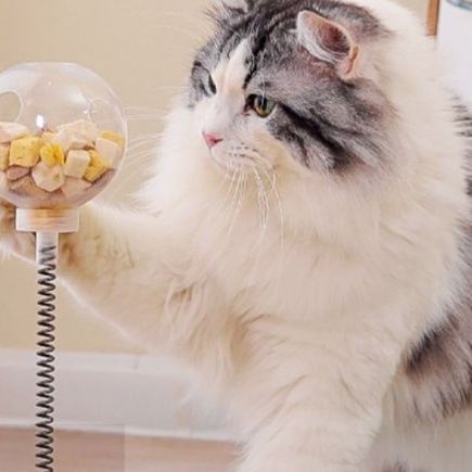 猫 おもちゃ 猫用回転スナック ぐるぐるキャッチ