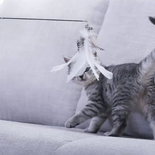 猫 おもちゃ 伸縮羽根じゃらし棒