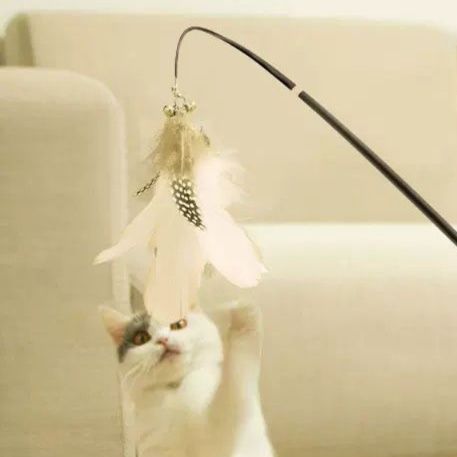 猫 おもちゃ 伸縮羽根じゃらし棒