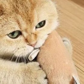 猫 おもちゃ ふかふかネズミちゃんおもちゃ