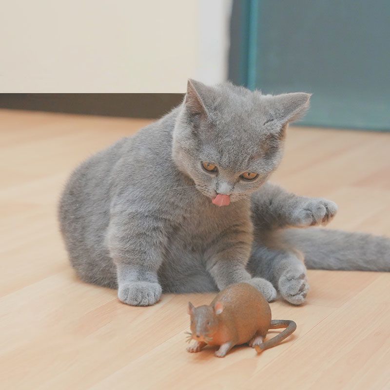 猫 おもちゃ もふもふ仲良しネズミおもちゃ