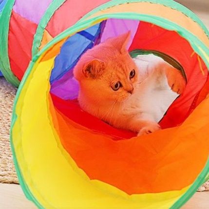 猫 おもちゃ トンネル型 遊び場 知育玩具