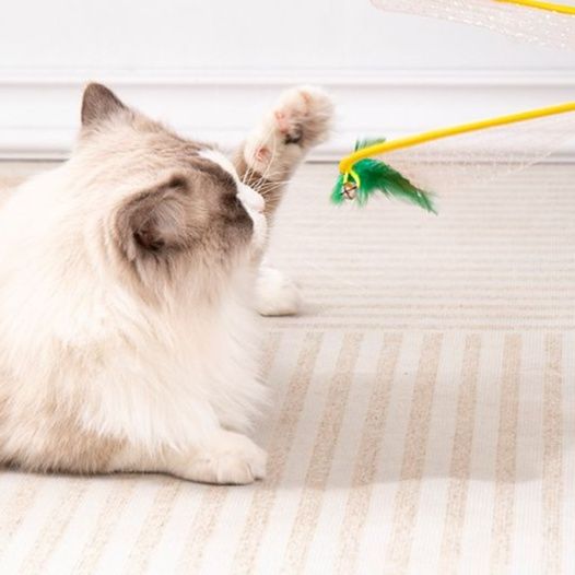 猫 おもちゃ トンネル型 猫の運動トンネル