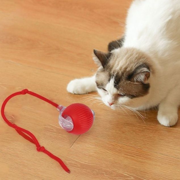 猫 おもちゃ 自動振動式 ひとりで遊べる知育玩具