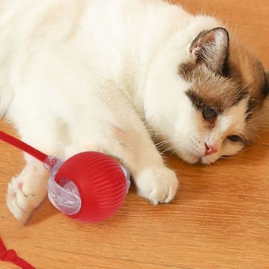 猫 おもちゃ 自動振動式 ひとりで遊べる知育玩具