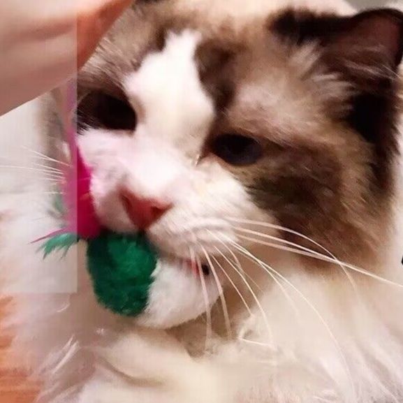 猫 おもちゃ ふわもこネズミ 羽付き遊びおもちゃ