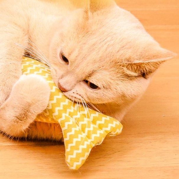 猫 おもちゃ 歯磨き魚のデンタルケア知育おもちゃ